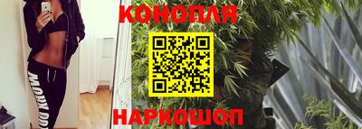 индика Бузулук