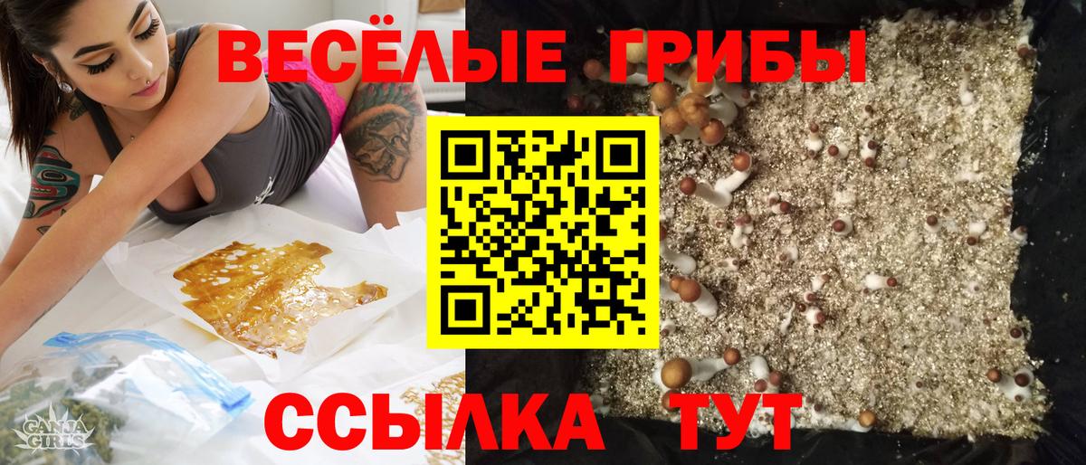Псилоцибиновые грибы ЛСД Черняховск