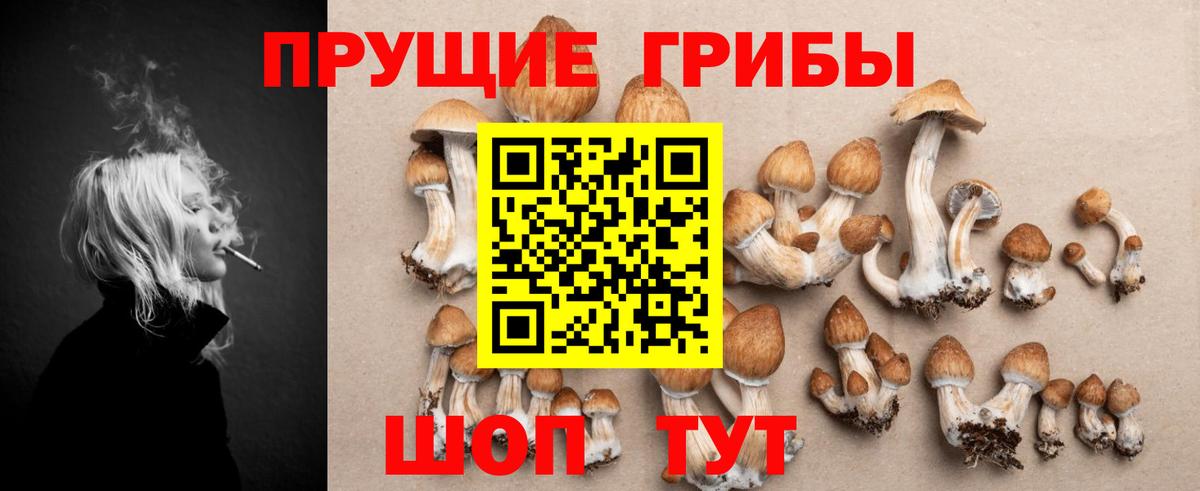 Черняховск  купить наркотик  Вход с VPN  Галлюциногенные грибы мухоморы 