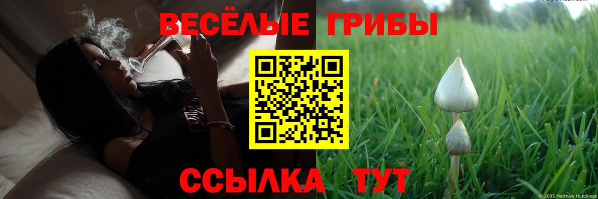 Галлюциногенные грибы Magic Shrooms  Черняховск 